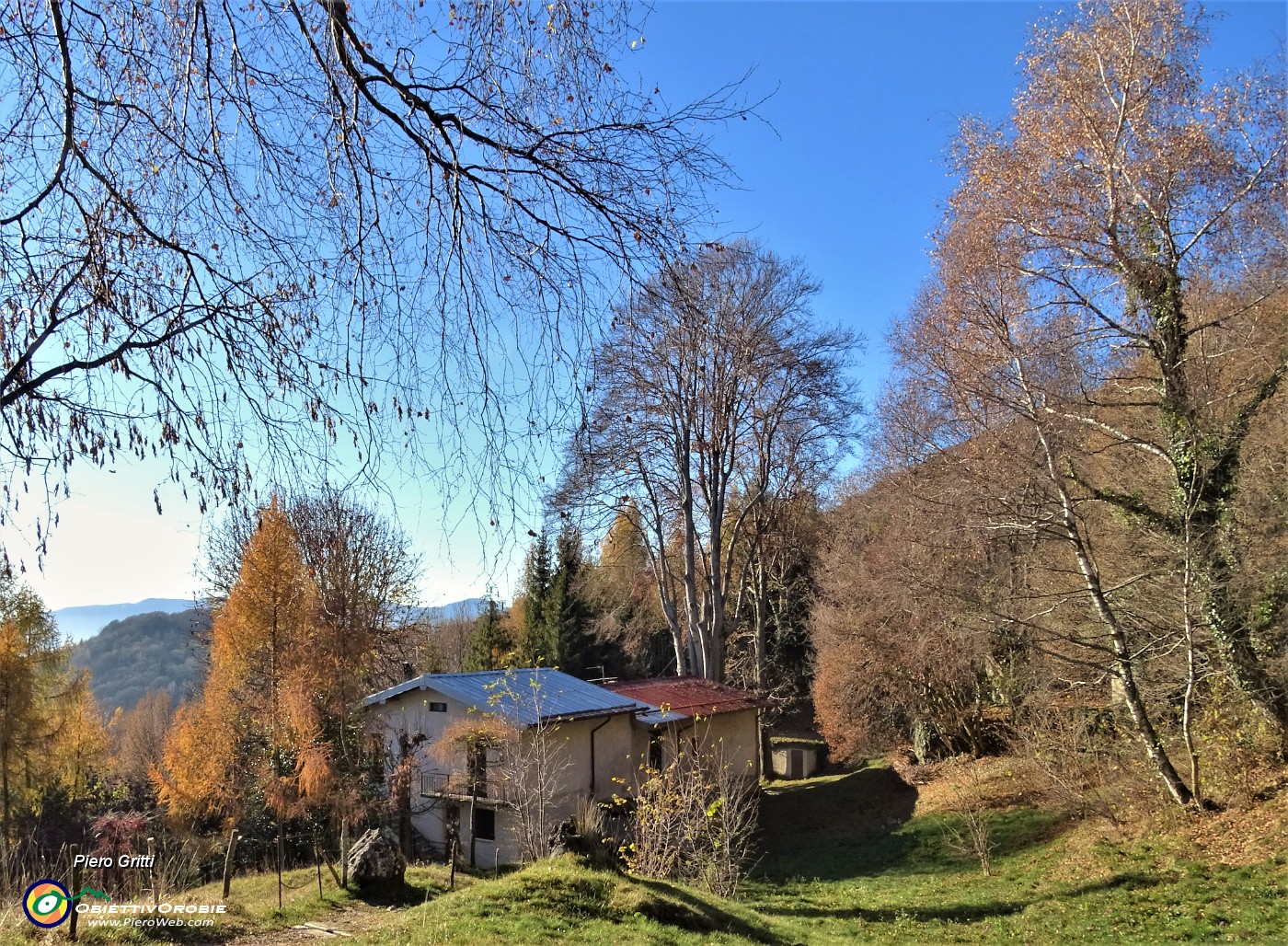 62 Bella casetta con accanto alti faggi secolari.JPG